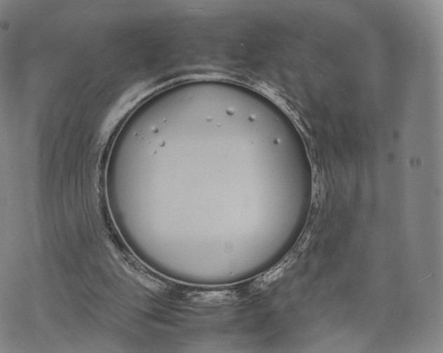 X0000070380151200606231721