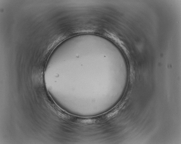 X0000070380153200606231721