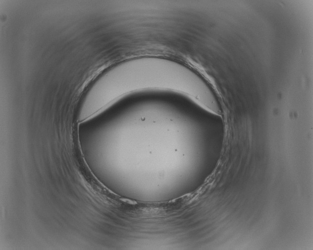 X0000070380154200606231721