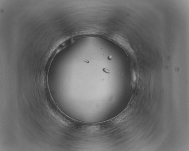 X0000070380156200606231721