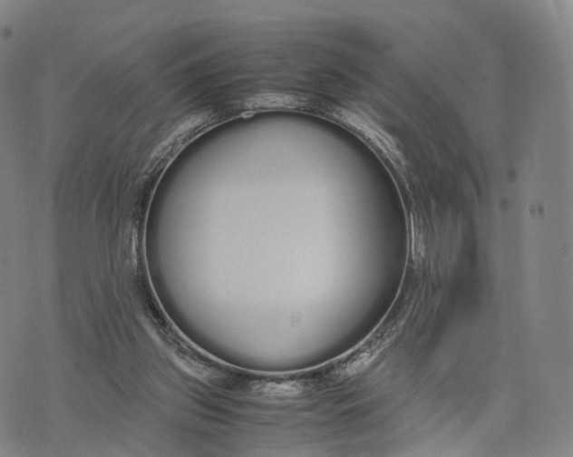 X0000070380157200606231721