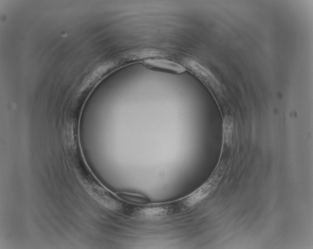 X0000070380158200606231721