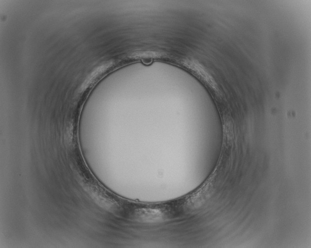 X0000070380159200606231721