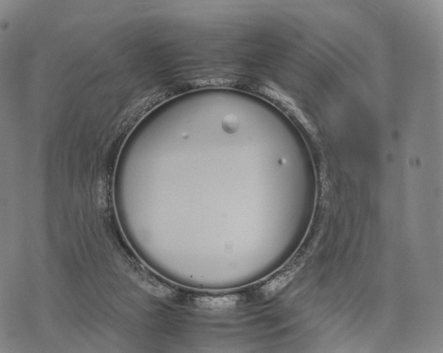 X0000070380161200606231721