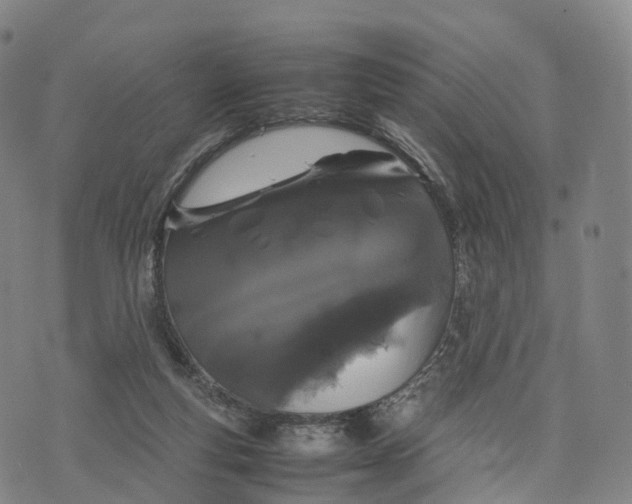 X0000070380163200606231721