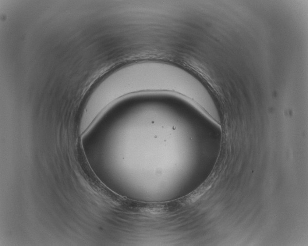 X0000070380164200606231721