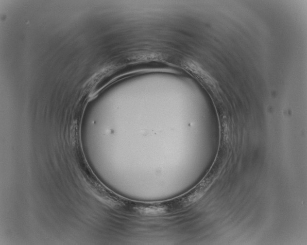 X0000070380165200606231721