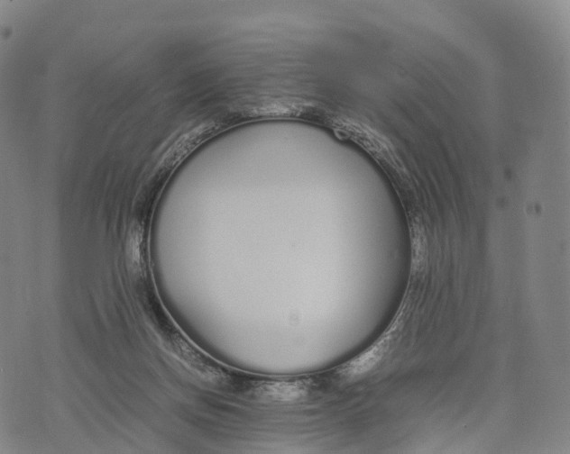 X0000070380166200606231721