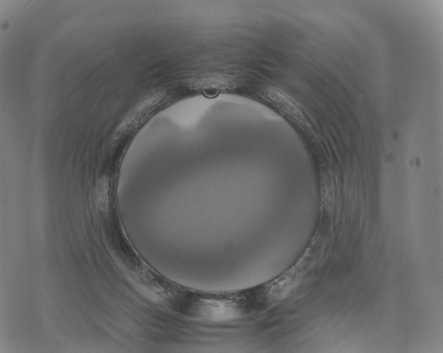 X0000070380167200606231721