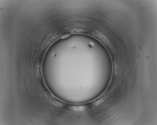 X0000070380169200606231721