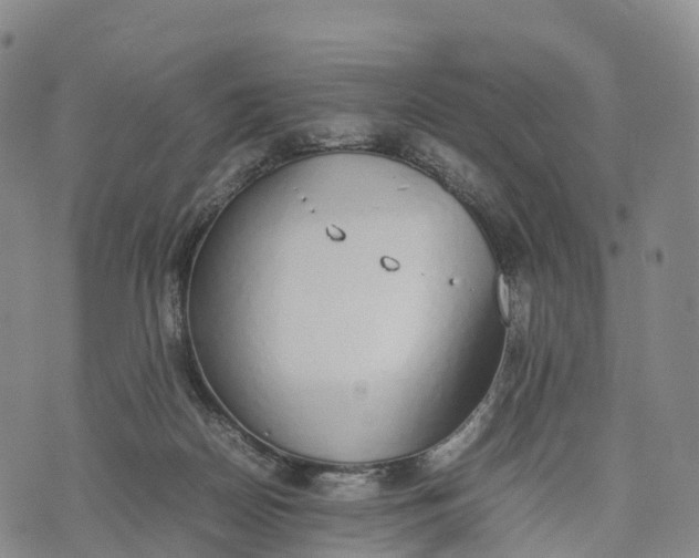 X0000070380170200606231721