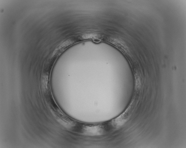 X0000070380171200606231721