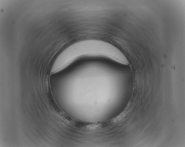 X0000070380172200606231721