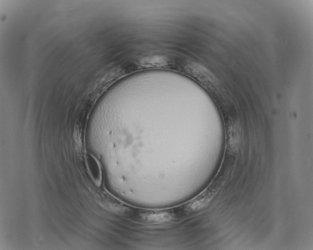 X0000070380173200606231721