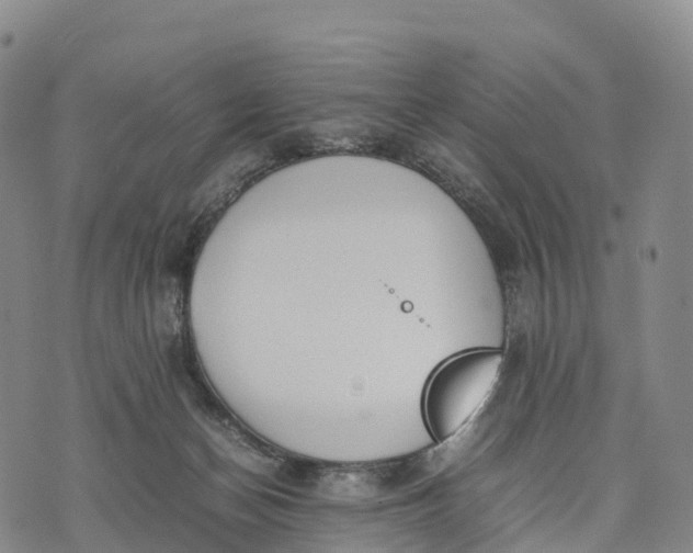 X0000070380174200606231721