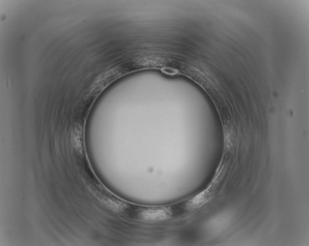 X0000070380175200606231721