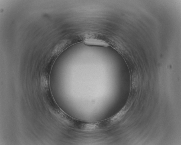 X0000070380176200606231721