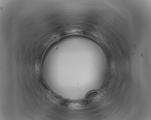 X0000070380177200606231721