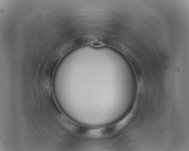 X0000070380178200606231721