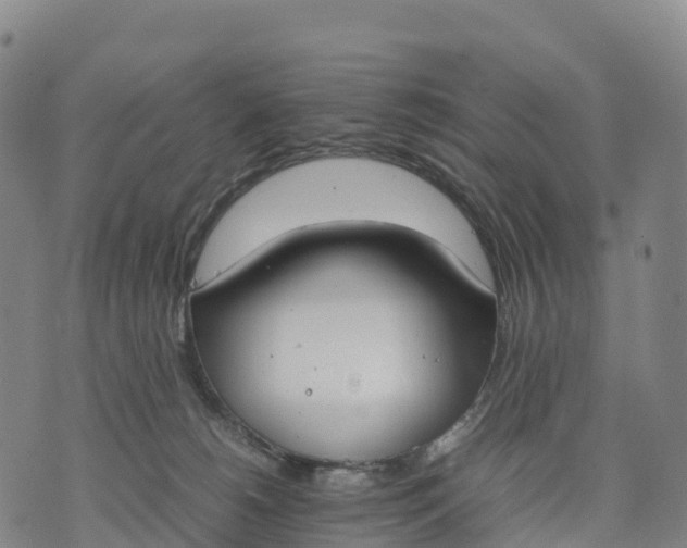 X0000070380180200606231721