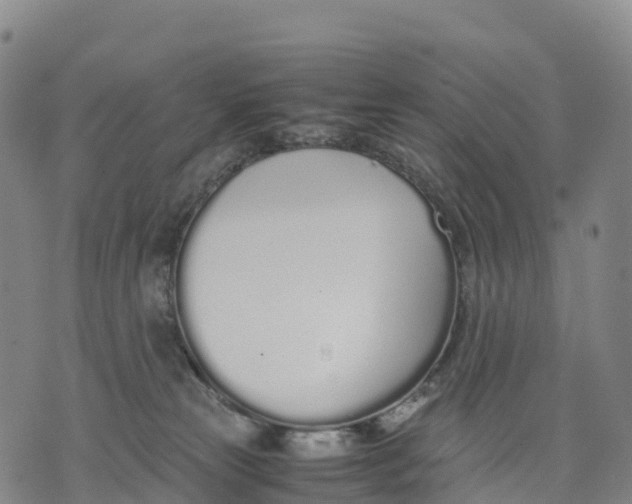 X0000070380181200606231721