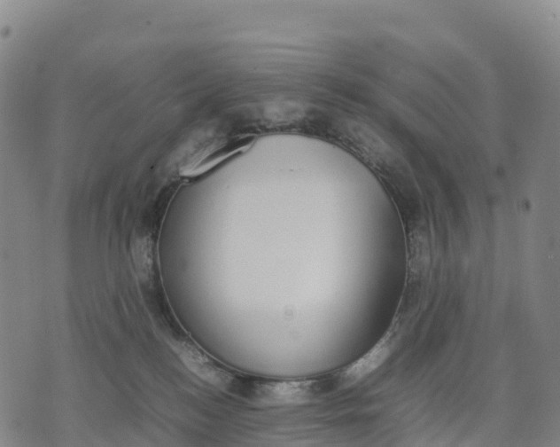 X0000070380184200606231721