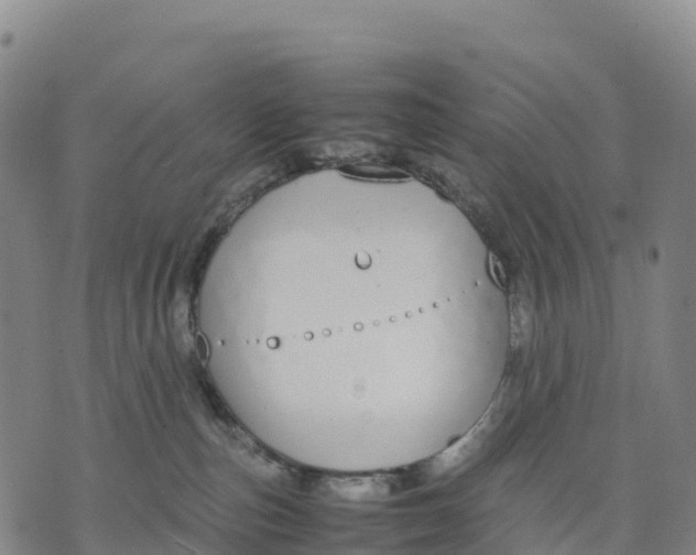 X0000070380187200606231722