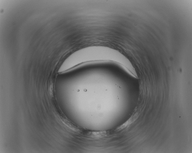 X0000070380188200606231722