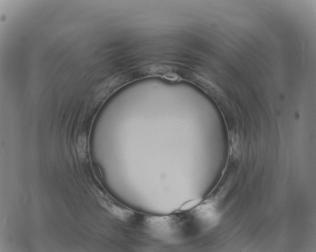 X0000070380189200606231722