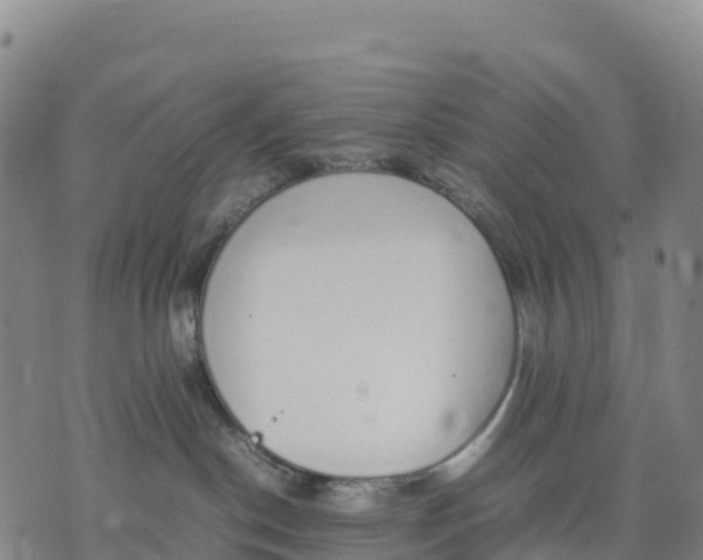 X0000070380190200606231722