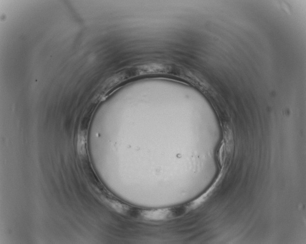 X0000070380191200606231722