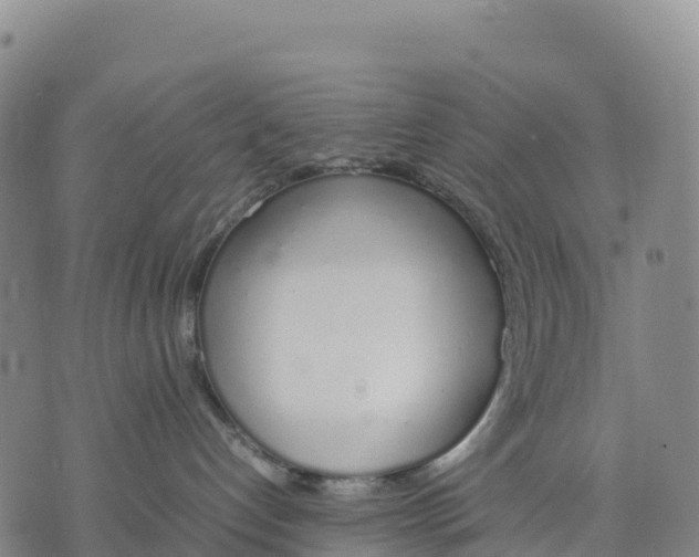 X0000070380192200606231722