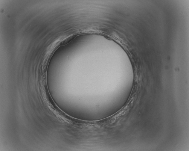 X0000070380193200606231721