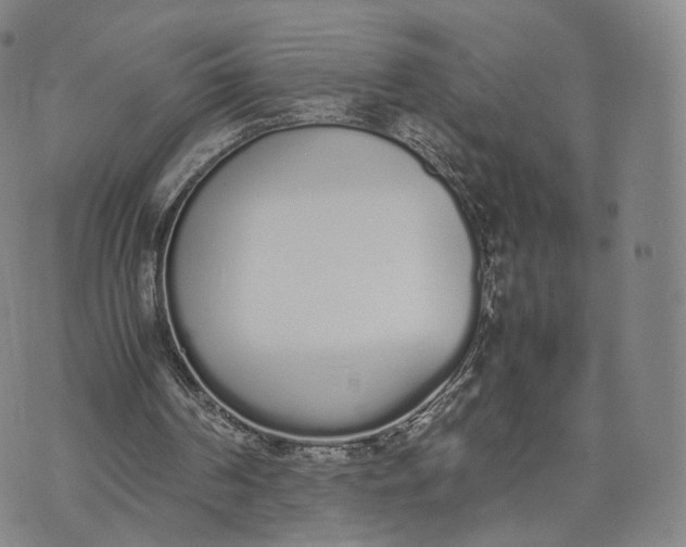 X0000070380194200606231721