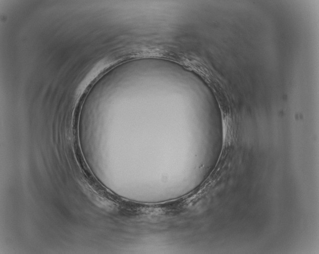 X0000070380195200606231721