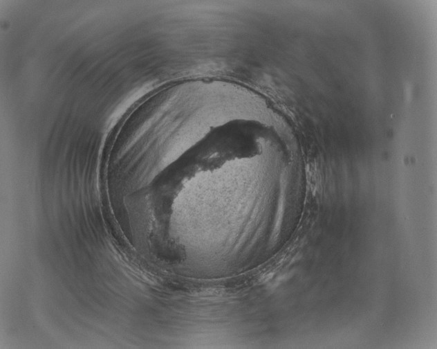 X0000070380196200606231721