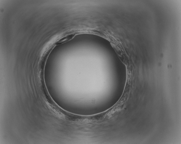 X0000070380197200606231721