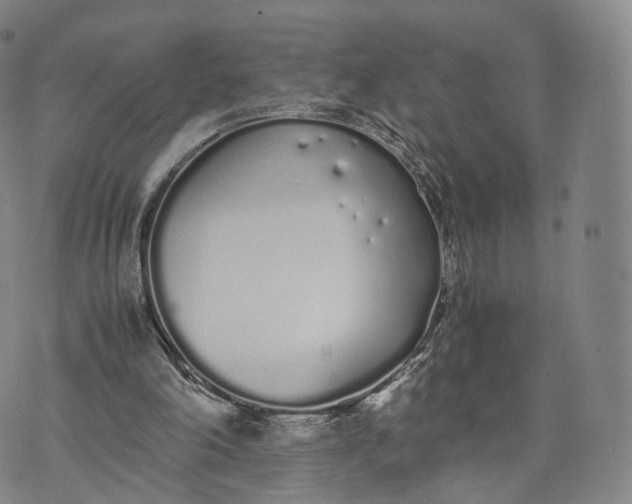 X0000070380198200606231721