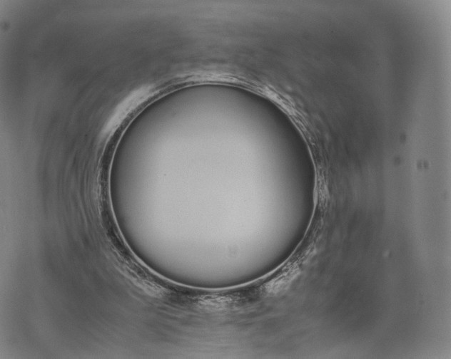 X0000070380199200606231721