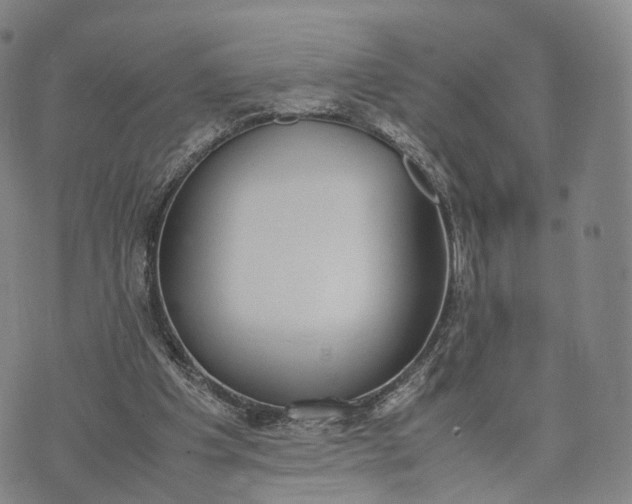 X0000070380201200606231721