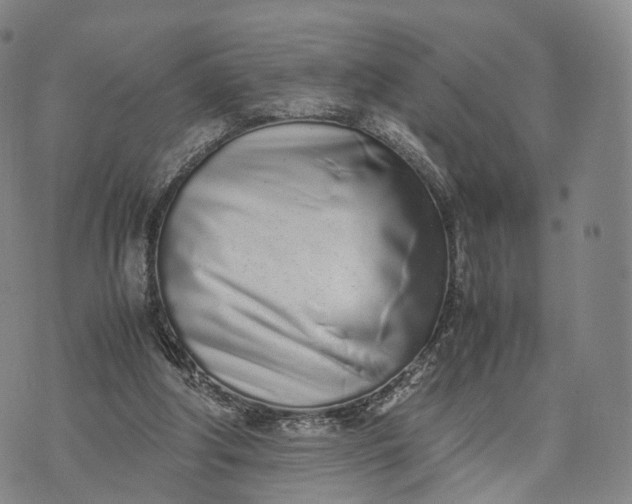 X0000070380202200606231721