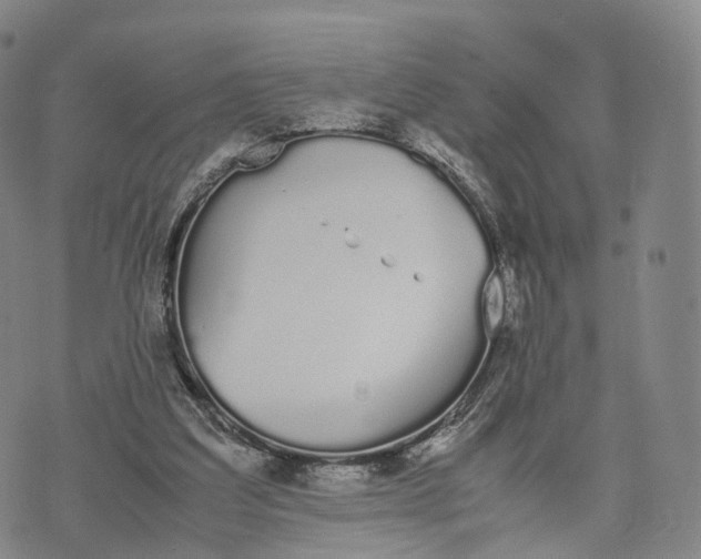 X0000070380203200606231721