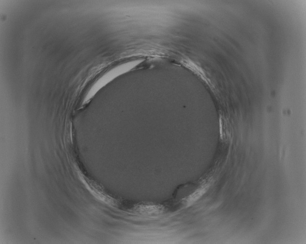 X0000070380205200606231721