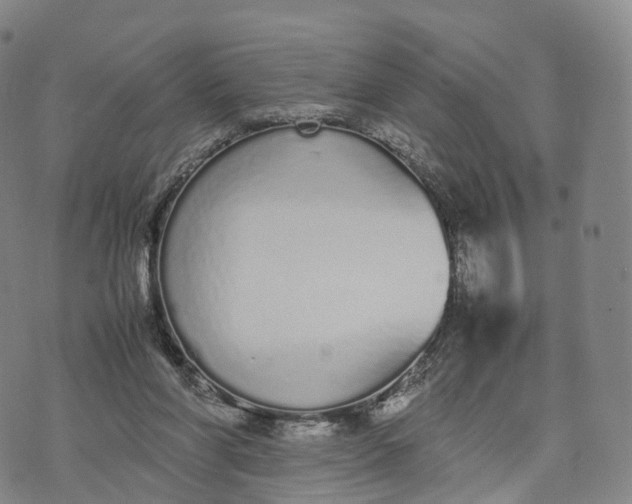 X0000070380206200606231721