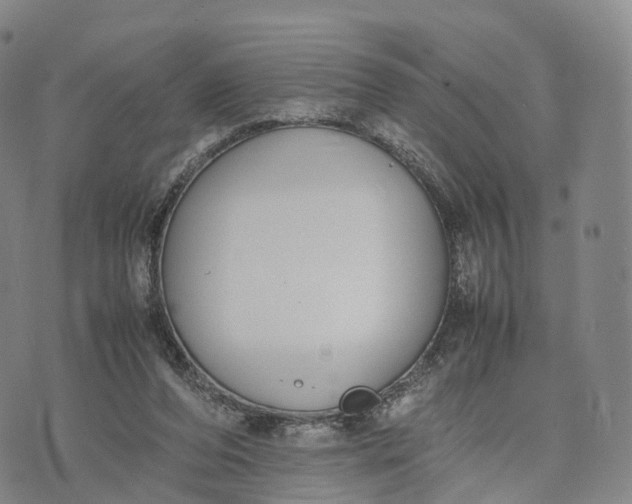 X0000070380208200606231721