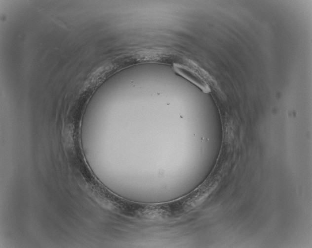 X0000070380209200606231721