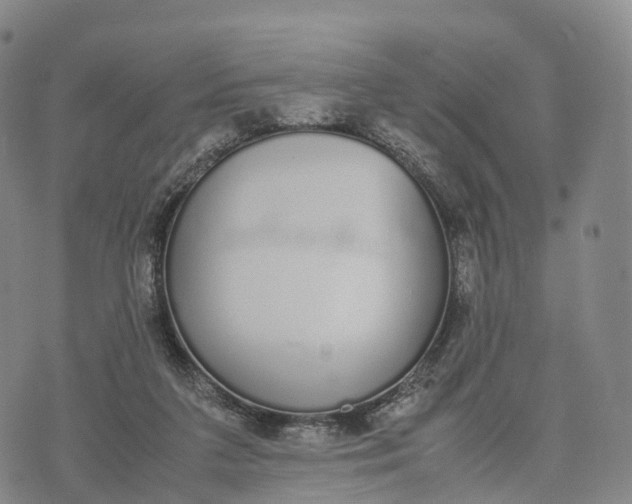 X0000070380211200606231721