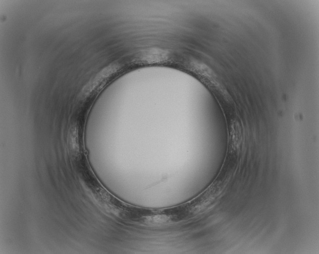 X0000070380212200606231720