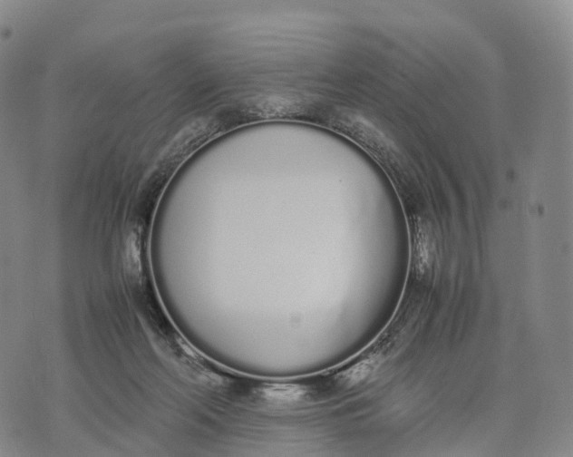 X0000070380214200606231720