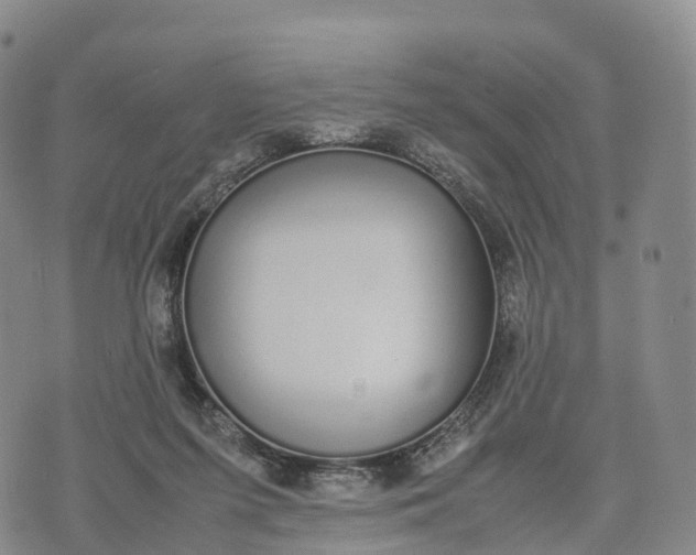 X0000070380215200606231720